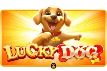slots bets